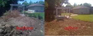 dirt removal before and after